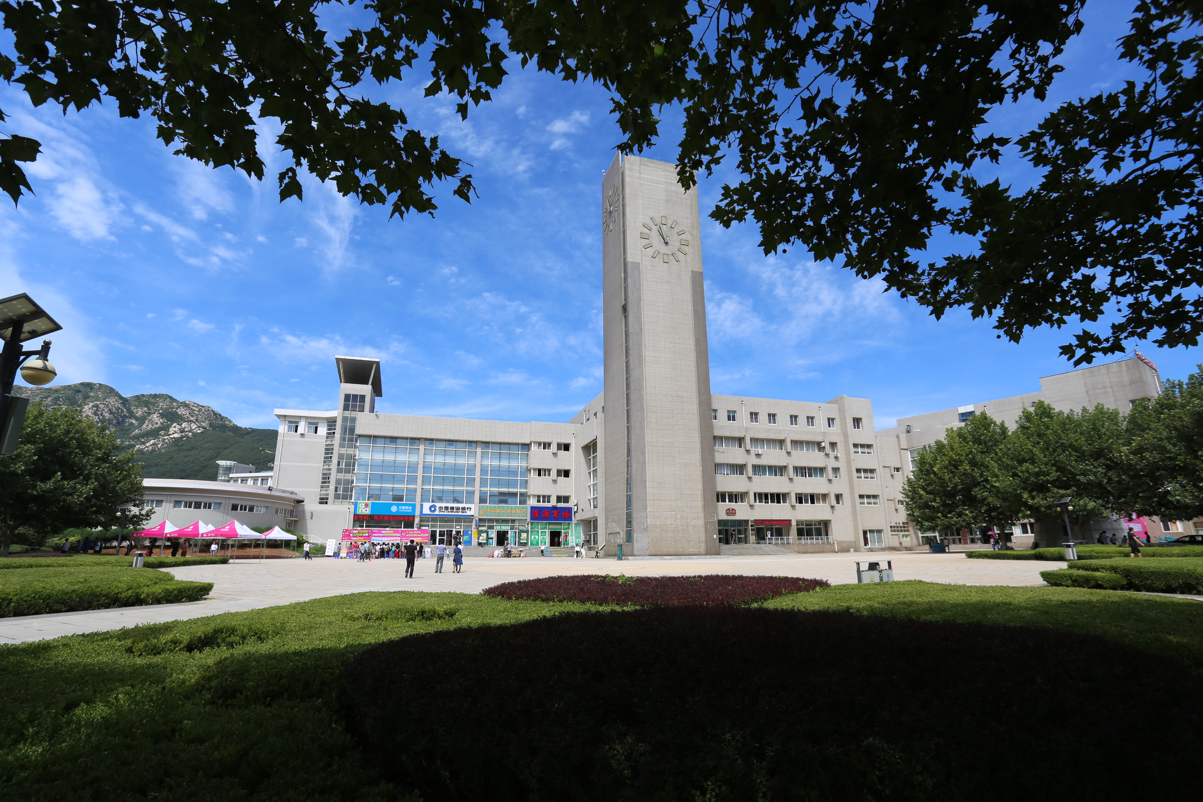 大连大学——壮美如画的森林式大学
